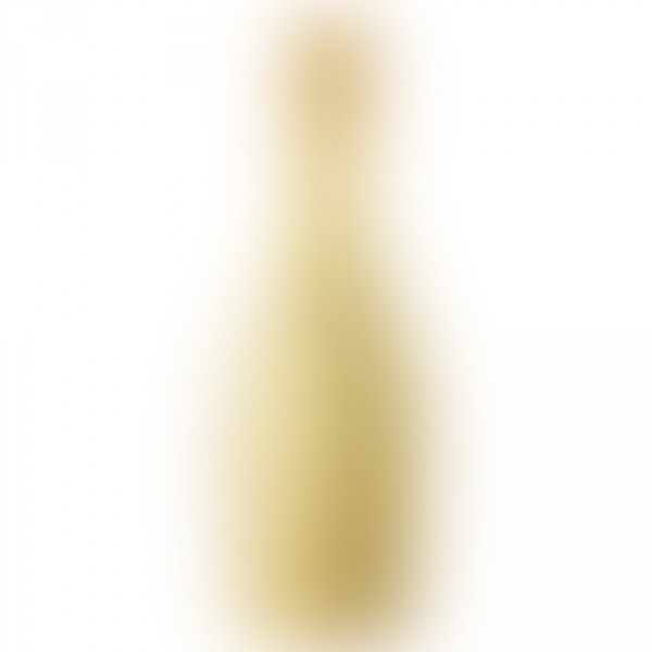 Bottega Gold-1 Bottega Gold-1