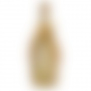 Bottega Gold-2 Bottega Gold-2