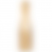 Bottega Gold-3 Bottega Gold-3