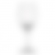 OregonTulipWine20zF11 OregonTulipWine20zF11