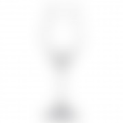 anchor-hocking-stolzle-224-00-02-flame-13-25-oz-white-wine-glass-6-case anchor-hocking-stolzle-224-00-02-flame-13-25-oz-white-wine-glass-6-case