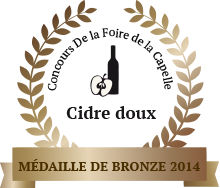 medaille bronze